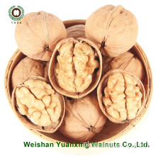 Walnut Kernels Light Color Pieces (LP) uit de Chinese fabriek